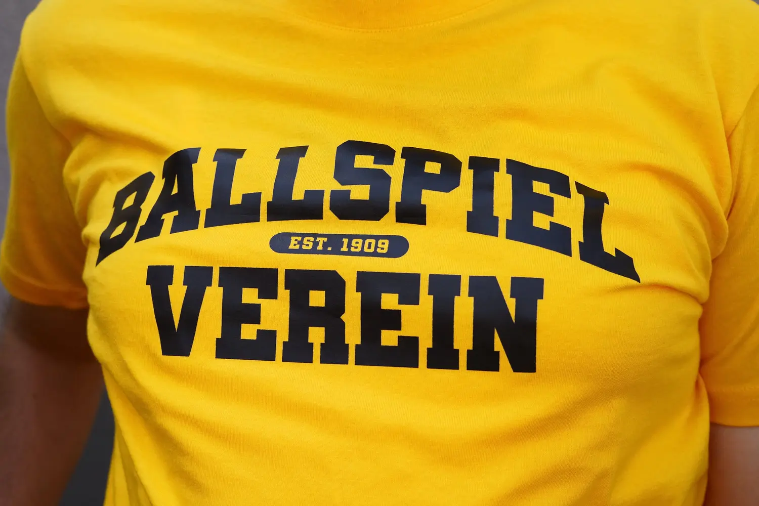 College - BV - Standard T-Shirt